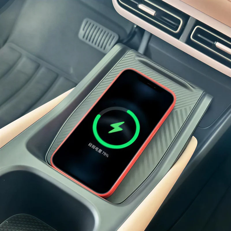 BYD ATTO 1 / DOLPHIN SURF Interior Accessories